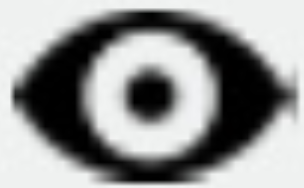 Pinned Visibility Icon